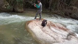 PESCA DE SABALETA GIGANTE...