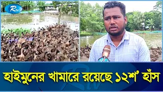 এমবিএ পাশ করে হাঁসের খামারী | Patuakhali | Duck Farm | Rtv News