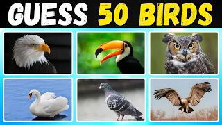 Guess the Bird Challenge | Can You Name These 50 Birds in 3 Seconds?  @braincube1