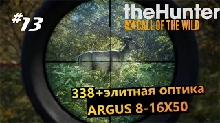 theHunter Call of the Wild   #13 338 + Элитная оптика ARGUS 8-16X50 (тест оптики)