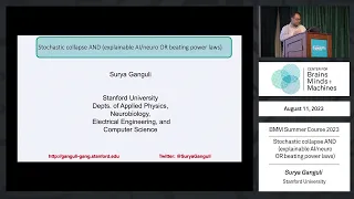 Stochastic collapse AND (explainable AI/neuro OR beating power laws)