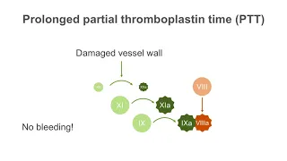 How to interpret a partial thromboplastin time (PTT) test