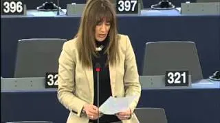 Sandrine Bélier sur la COP18 de Doha en plénière au Parlement européen