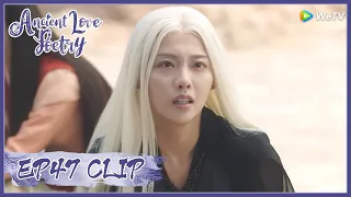 【Ancient Love Poetry】EP47 Clip | Until now, she finally pleaded for her son | 千古玦尘 | ENG SUB