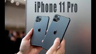 iPhone 11 Pro - На что способна камера
