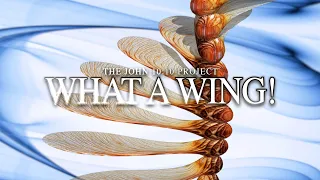 WHAT-A-WING!