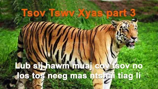 Tsov tswv xyas 3