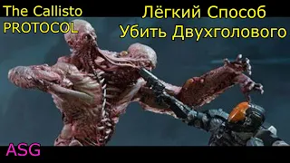 The Callipso Protocol. Лёгкий Способ Убить Двухголового ( Баг )