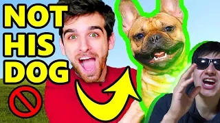 THIS IS NOT DANIEL'S DOG - PROOF ( Chad Wild Clay Vy Qwaint )