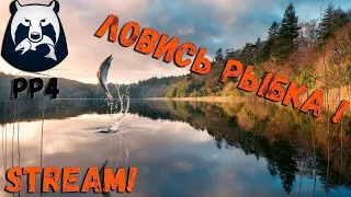 РУССКАЯ РЫБАЛКА 4