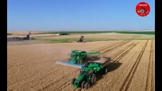 2018 Wheat Harvest near Johnson Kansas