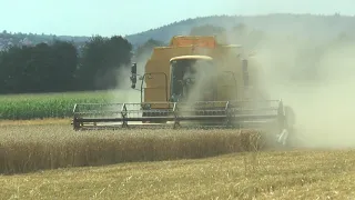 New Holland TF 78 ELEKTRA combine with Tangential Flow threshing system working in Germany