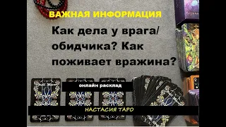 Как дела у врага / обидчика? Как поживает вражина? Таро онлайн