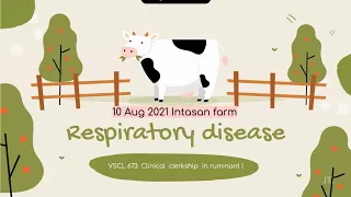 Respiratory disease [Student case: Gr.2/2021]