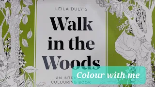Colour with me in Leila Duly's 'Walk in the Woods' - Bramble mouse.