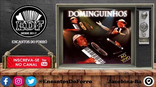 Dominguinhos - Ao Vivo