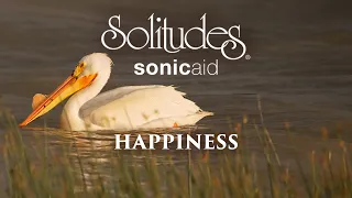 SonicAid Solitudes - A Playful Breeze | Happiness