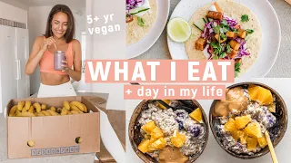 WHAT I EAT: healthy vegan recipes + day in my life VLOG