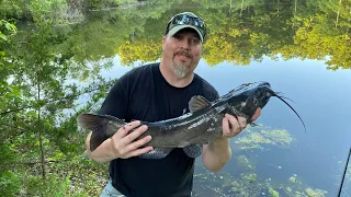 Homemade catfish bait that works!