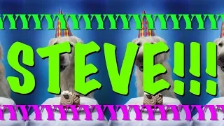 HAPPY BIRTHDAY STEVE! - EPIC Happy Birthday Song