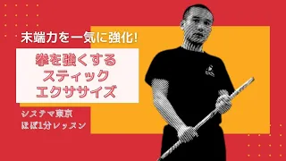 拳を強くするスティックエクササイズ　末端力を一気に強化する方法　ほぼ1分システマレッスン字幕版