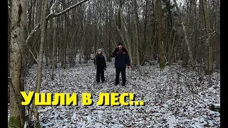 Надоели бесконечные дела - ушли в лес!..