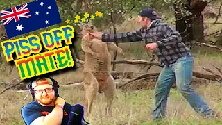 American Reacts to Man PUNCHES Kangaroo in the Face to Rescue his Dog