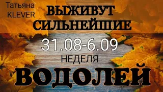 ВОДОЛЕЙ (31.08 по 6.09). Недельный таро прогноз. Гадание на Ленорман. Тароскоп.