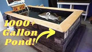1000+ GALLON INDOOR POND! | how to build a indoor pond. #indoorpond #fishkeeping