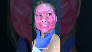 Botox Anatomy