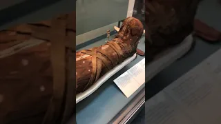 Cleopatra mummy? 😱#uk #england #britishmuseum #mummies