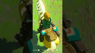 INSANELY FAST RUPEE GLITCH in Tears of the Kingdom (PATCHED)