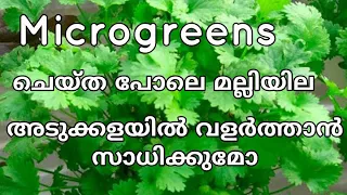 മല്ലിയില വീട്ടിൽ വളർത്തിയെടുക്കാൻ പറ്റുമോ ഇതു കണ്ടു നോക്കൂ