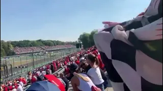 Live crash from the stands  : Hamilton and Verstappen at Monza Italian GP 2021