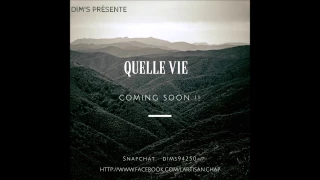 Quelle vie -  Dim's  2017