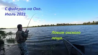 С фидером на Оке. Июль 2021. Ловим окского леща.