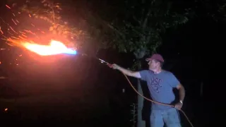 Taking down hornets nest with a flame thrower