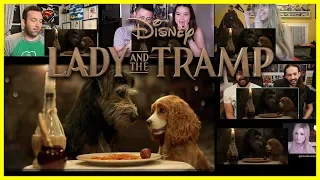 Lady and The Tramp - Official Trailer #1 Reaction Mashup