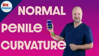 Normal penile curvature vs. Peyronie‘s vs. Chordee | UroChannel