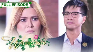 [ENG SUB] Ep 116 | Wildflower | Maja Salvador, Tirso Cruz III, Aiko Melendez