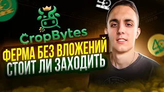 CROP BYTES P2E ИГРА ФЕРМА БЕЗ ВЛОЖЕНИЙ | CropBytes обзор |  Стоит заходить? | Сколько платит?