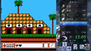 Adventure Island 4 Speedrun in 17:38