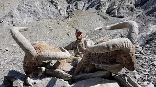 DAGESTAN TUR HUNTING STEPHAN SKAGGS & TURKISH FRONTIER