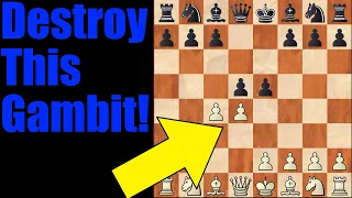 Annoying Openings: How to Beat the Albin Counter Gambit