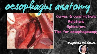 207.Oesophagus anatomy  #anatomy of esophagus #anatomylectures