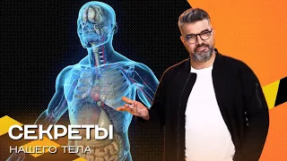 Секреты нашего тела. Экстремально-познавательное шоу