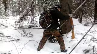 Охота с капканами на куницу