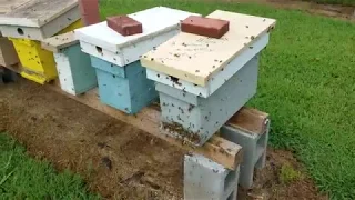 Tricking Honey Bees To Stop Robbing Beekeeping Tricks