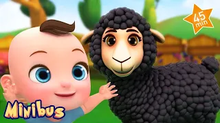 Baa Baa Black Sheep + More Nursery Rhymes & Kids Songs | Minibus