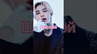 Stray Kids - Get Lit + Top Line kpop-послышалось #стрейкидс #кпоп #кпоппослышалось #straykids